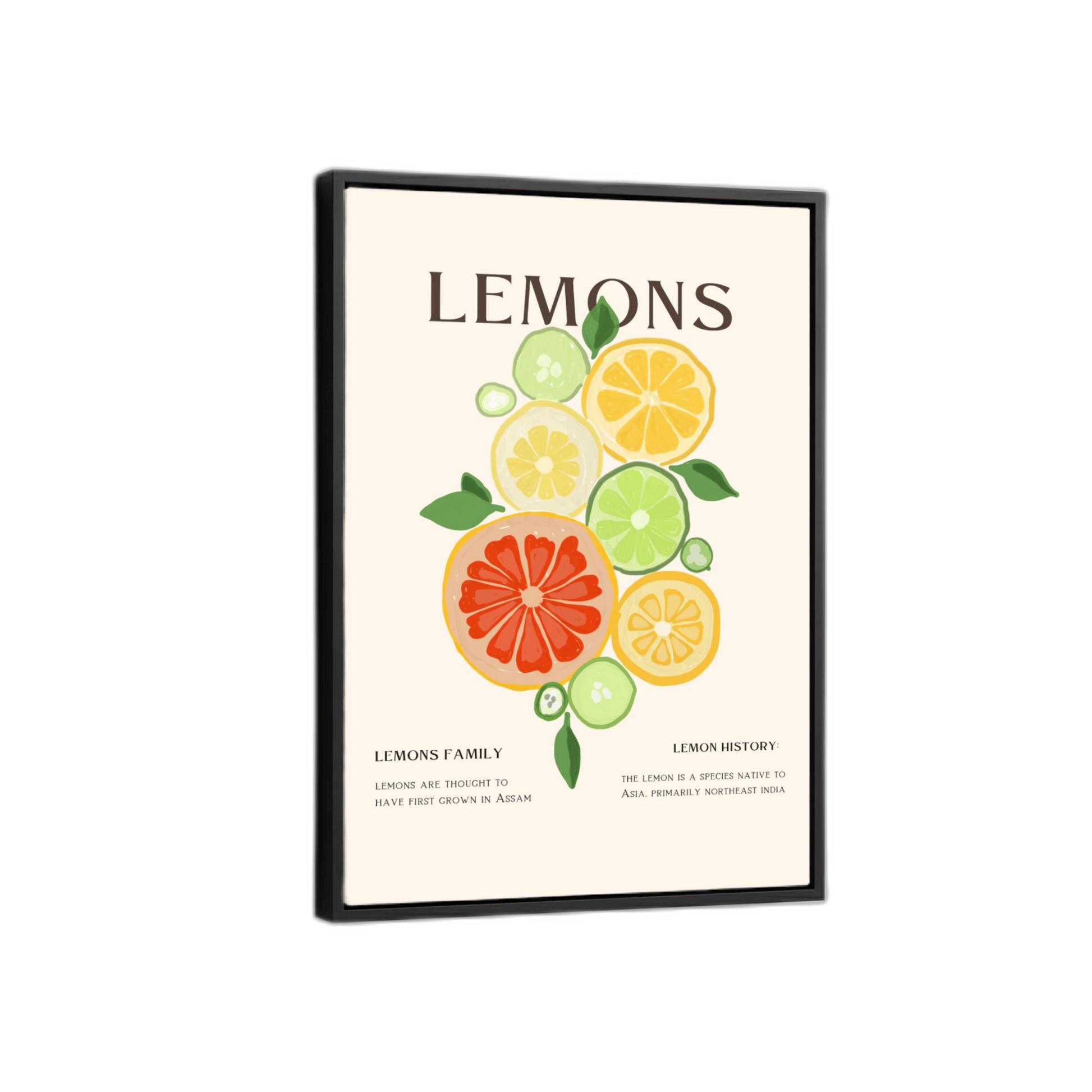 Food Print 12 - Transparent